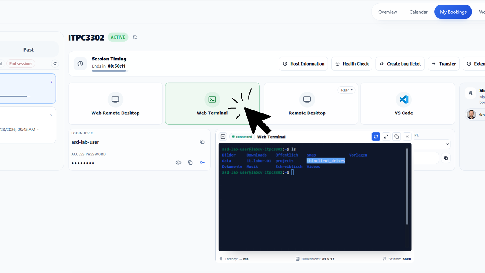 DevCaleo Access-Ansicht mit aktiven Sessions, Web Terminal und Remote-Zugaengen